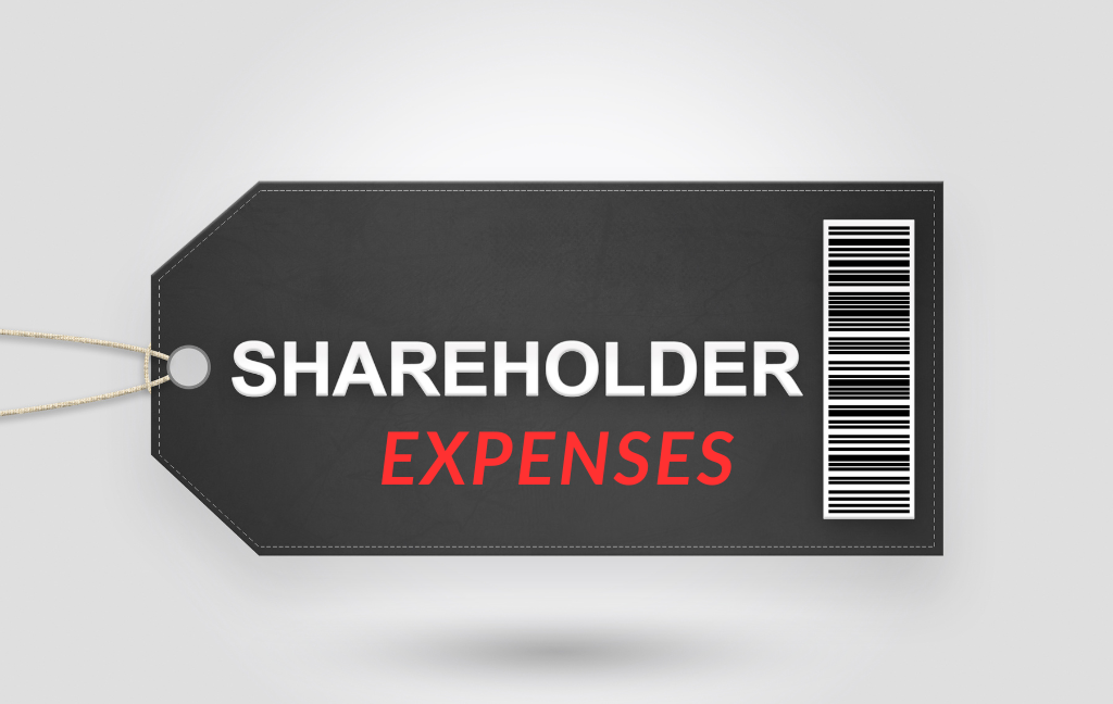 shareholder